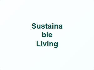 Bold Label Font Styles for Clear Visibility